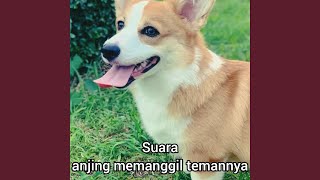 Suara Anjing Memanggil Temanya