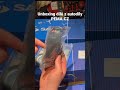 Unboxing dílů z autodily PEMA.CZ #škoda #autodily #autodilypema #octavia