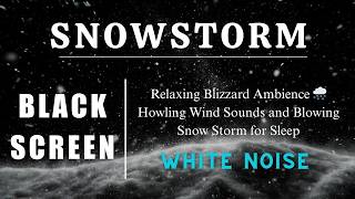Relaxing Blizzard Ambience 🌨️ Howling Wind Sounds and Blowing Snow Storm for Sleep