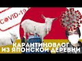 ЯПОНСКАЯ ДЕРЕВНЯ В ПЕРИОД КОРОНАВИРУСА. ЧС В ЯПОНИИ!