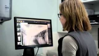Port Melbourne Veterinary Clinic & Hospital