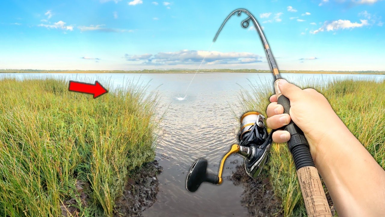 Я узнал, где живут великаны.. (Поймай и приготовь)