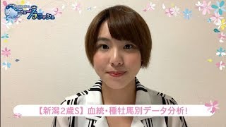 【新潟2歳S】血統・種牡馬データ分析など/ニュースフラッシュ
