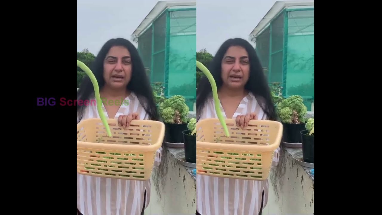 Actress Suhasini Maniratnam Enjoying Terrace Gardening | Organic Farming | BIG Screen Reels