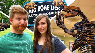 BIG BONE LICK State Historic Site! (2020)