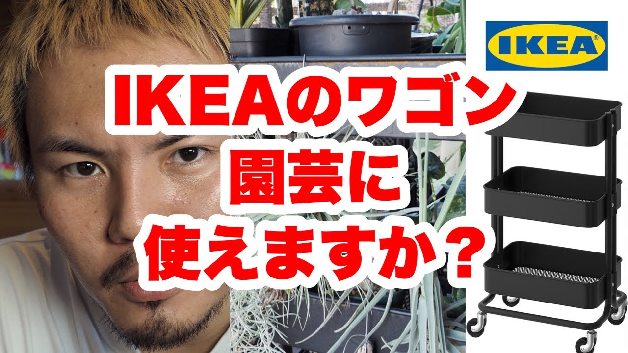 観葉植物】IKEAのワゴンを植物棚として使った感想【ソフトクリーム安