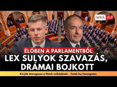 Bevezetés a High-Roller Játékba