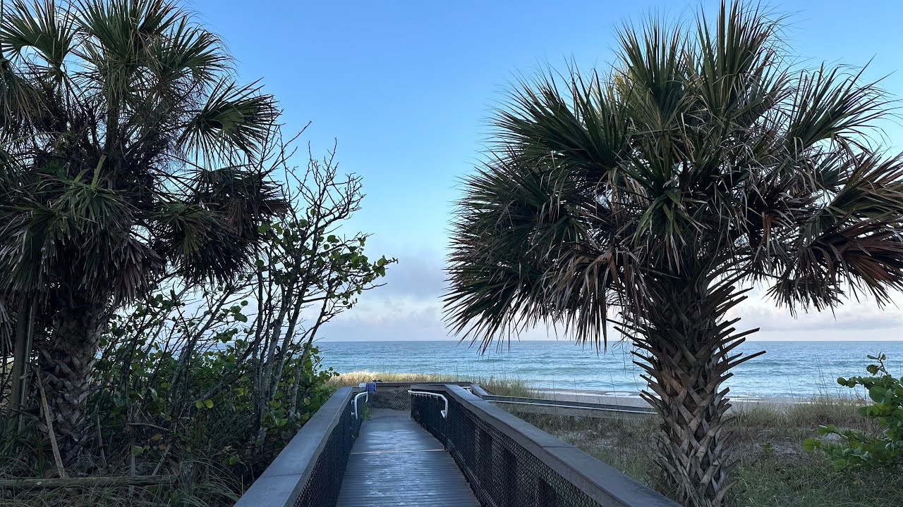 Florida Song YouTube