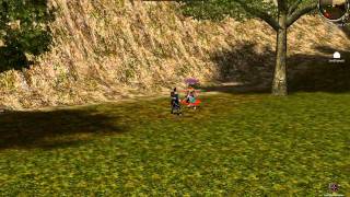 Extremmt2 Dmg test von XxKriegerinX