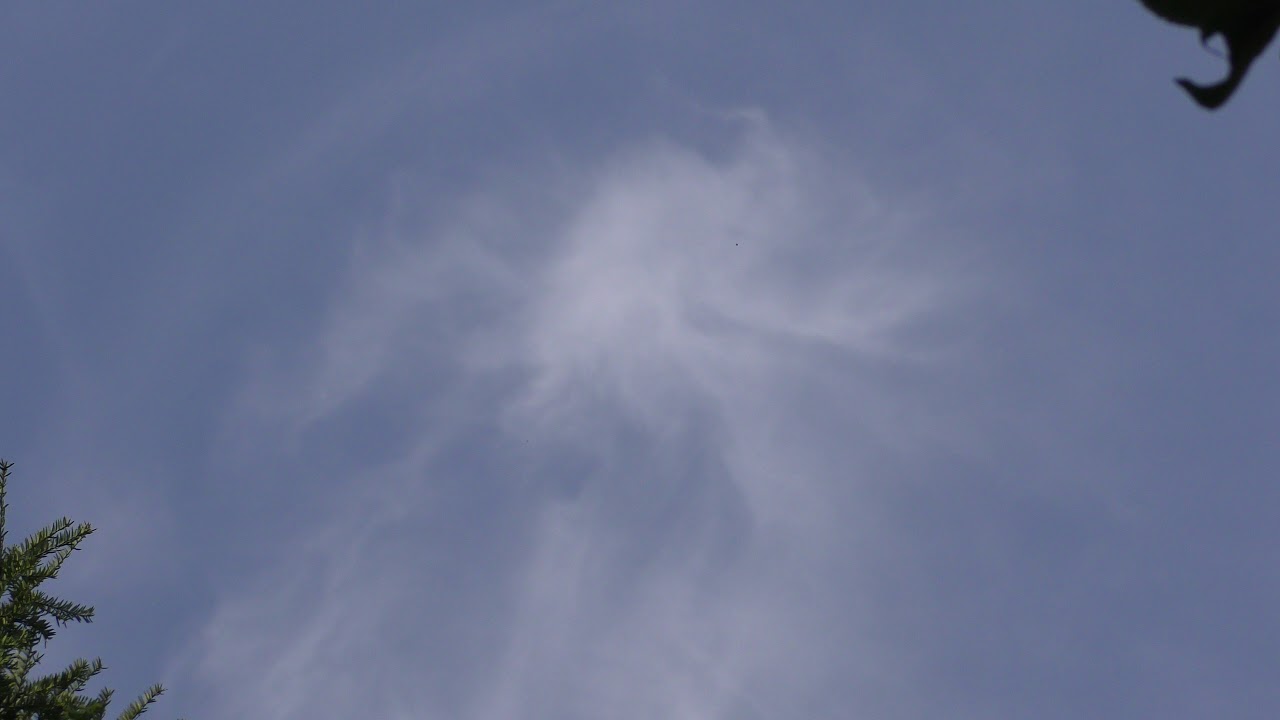 airshow schedule share Octopus shaped cloud seen Cambridge UK 24aug19 224p