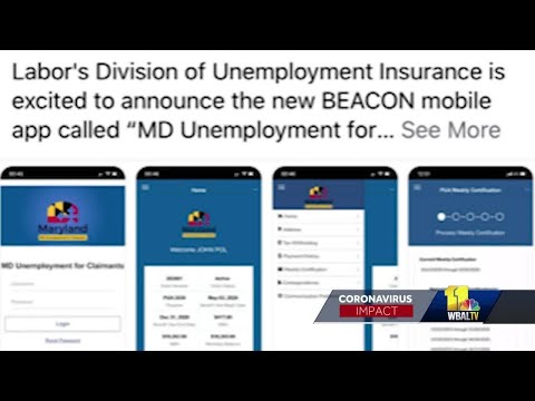 Identity issues persist in Maryland unemployment system