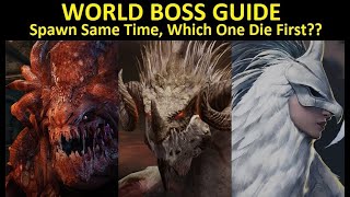 World Boss Guide for New Player & Returner