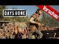 Days Gone in der Vorschau/Preview: Die Ruhe vor der Horde