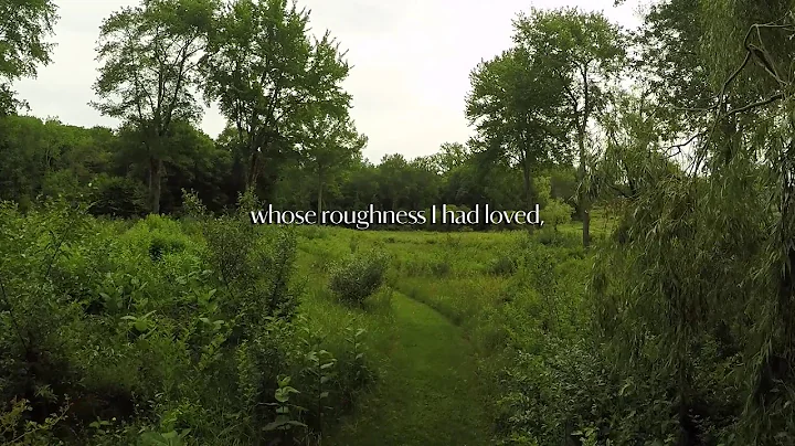 Poetry Shorts | Danielle Chapman: In Order