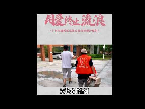 感谢香港歌手胡鸿钧为流浪动物发声，为流浪动物公益代言。