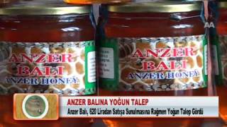 Anzer Balina Yoğun Talep 23 02 2012