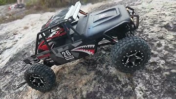 Meus Racing 1/24 Scale 4WD Rock Crawler - SCX24 Plastic Ripper