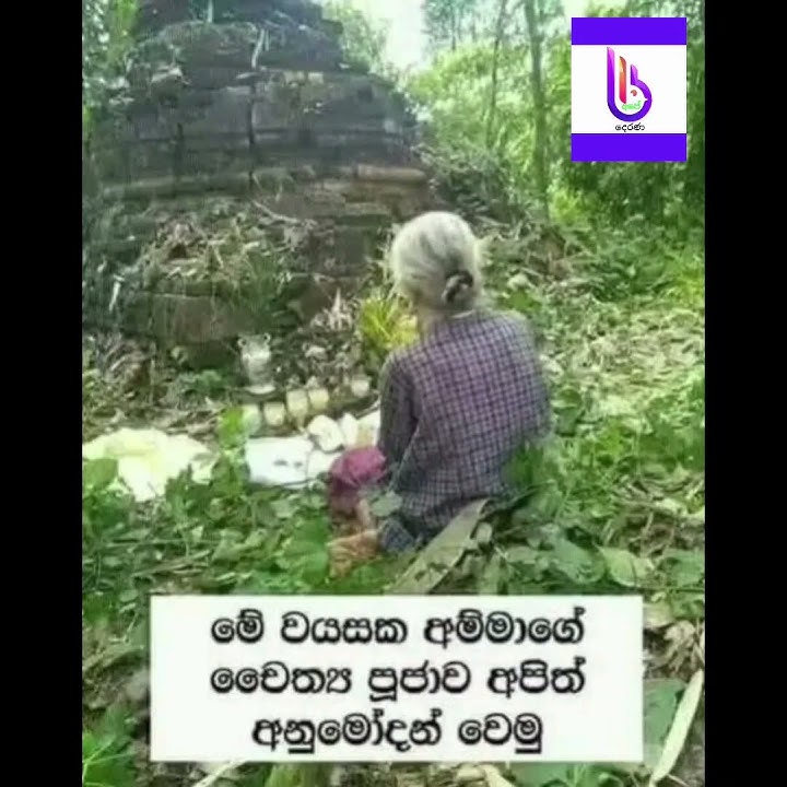 දීර්ගායුෂ ලැබේවා ඒ අම්මට බුදු සරණයි🙏❤️ සාදු සාදු සාදු 🌹💐💐💐 සැදැසිතින්  අනුමෝදන්  වුයේමි🙏🙏🙏🙏🙏 #wadan