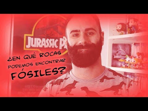 Video: ¿Se pueden encontrar fósiles en el esquisto?