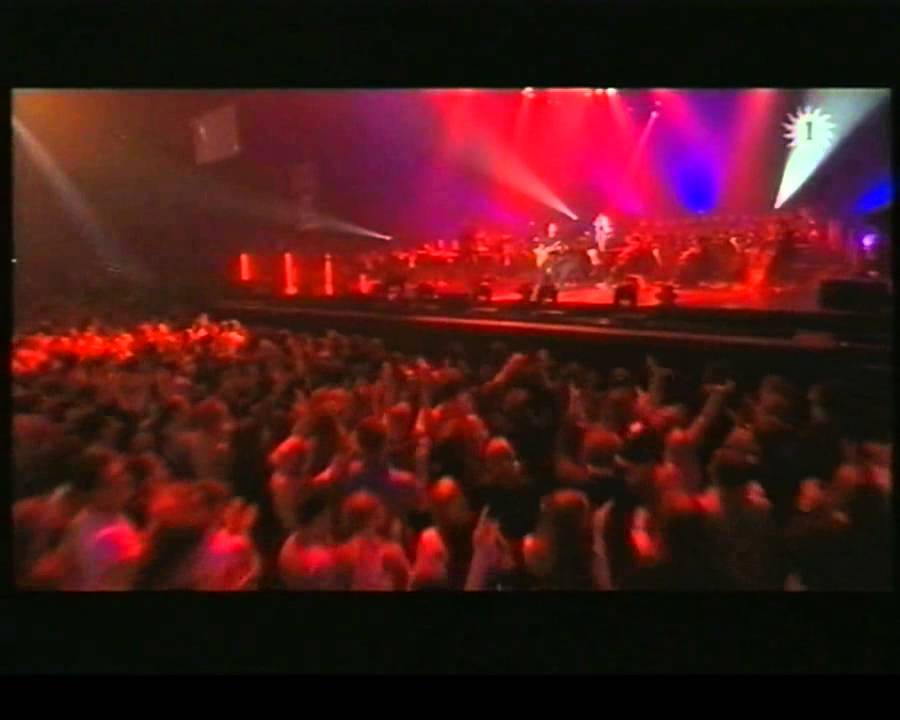 Shaggy Hey Sexy Lady Live