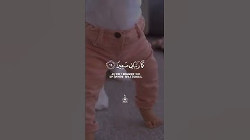قرآن كريم بصوت القارئ أحمد النفيس