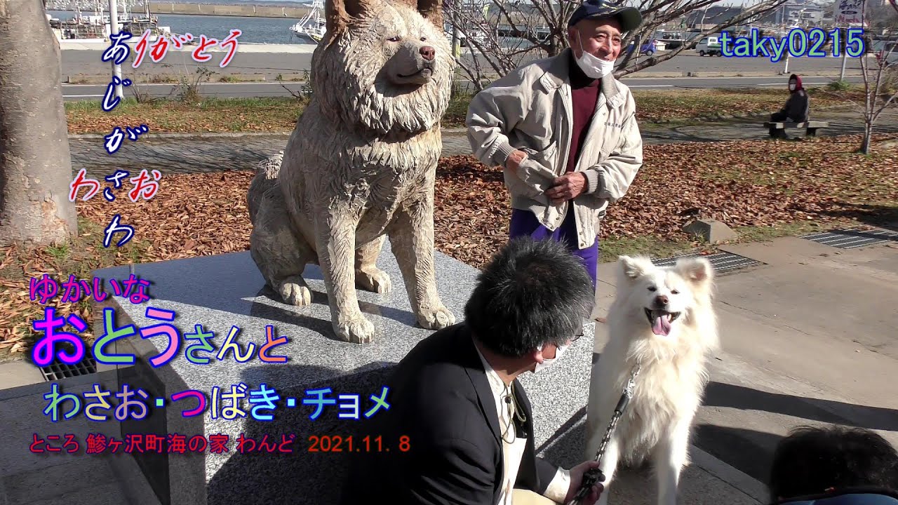 わさおを語る・素敵な とうさん（菊谷さんのご主人） Talking about