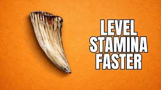 Red Dead Redemption 2 – Cougar Fang Trinket Guide (Level Stamina Faster)