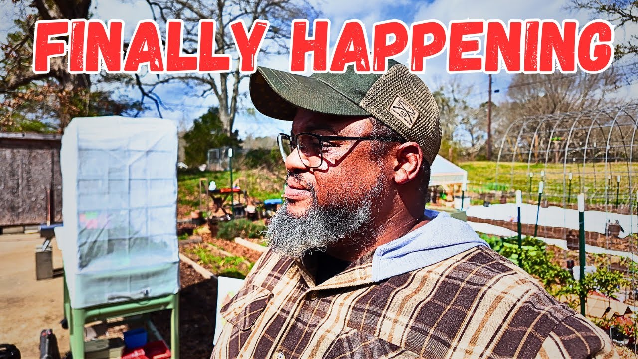 The Present Meets Progress! What's Next For Salty Dawg!