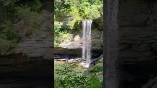 What is there to do near Huntsville? everything. Net Worth