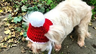 Crochet Dog Hat With Ear Holes /& Pom Pom