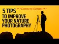 5 tips to improve your nature photography composition