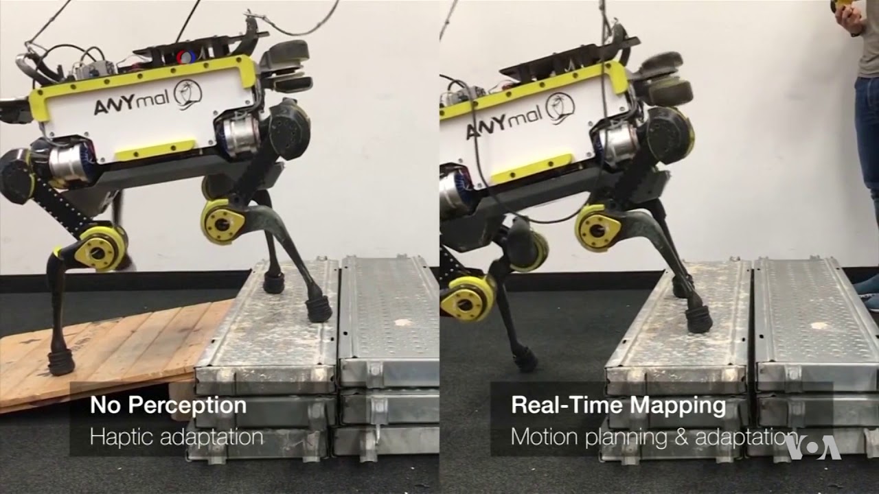 ANYmal Has Four Legs, Good Balance, and Batteries Included