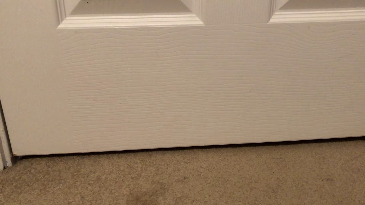 Swamp Thing (1982) (RARE UNCUT DVD) unboxing