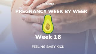 Pregnancy Week 16 Feeling Baby Kick Pregnancy Week By Week