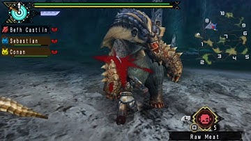MONSTER HUNTER PORTABLE 3RD PSP GAMEPLAY