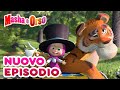 Masha e Orso - 💥 Nuovo episodio! 💥 Collezione di cartoni animati 🎬 Un Amico a Strisce 🐯