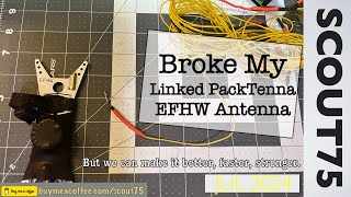 Broke My Linked EFHW Antenna