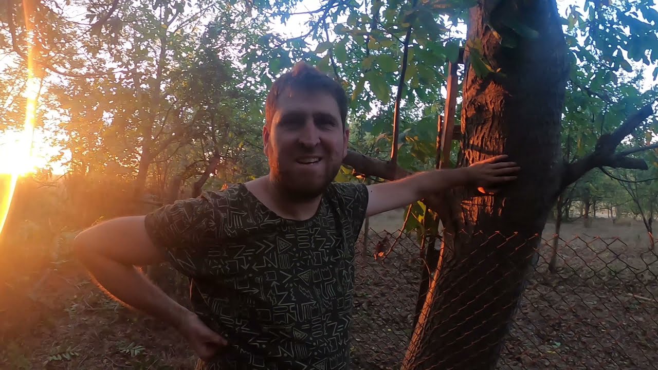 BulgaristanTervel Bistra Köyde Ceviz Topluyoruz