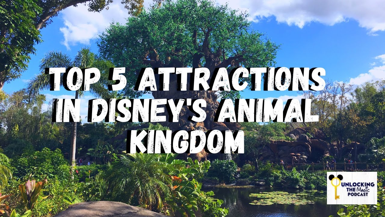Top 5 Attractions in Disney's Animal Kingdom YouTube