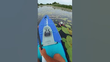DJI Mini 4 Pro - Emergency Landing on Water #djimini #mini4pro