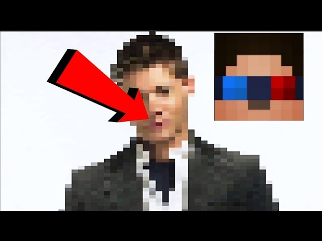 Шеди собака