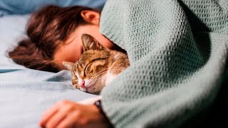 This Is How Sleeping With Your Cat Makes You Healthier