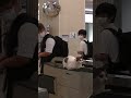 #shorts 忠犬ハチいや猫.2