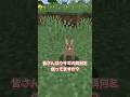 【Minecraft】ウサギの餌に関する豆知識【ゆっくり実況】 #マイクラ #マインクラフト #shorts #minecraft #ゆっくり実況