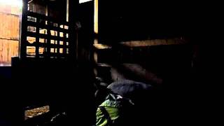 SAM_0027.AVI