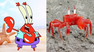 Así Lucen Los Personajes de Bob Esponja en la Vida Real