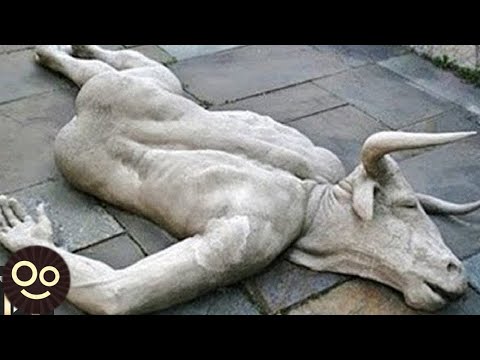8 CRIATURAS Míticas Captadas en Cámara en la Vida Real