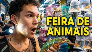 MAIOR FEIRA DE ANIMAIS Fica em Bangkok!