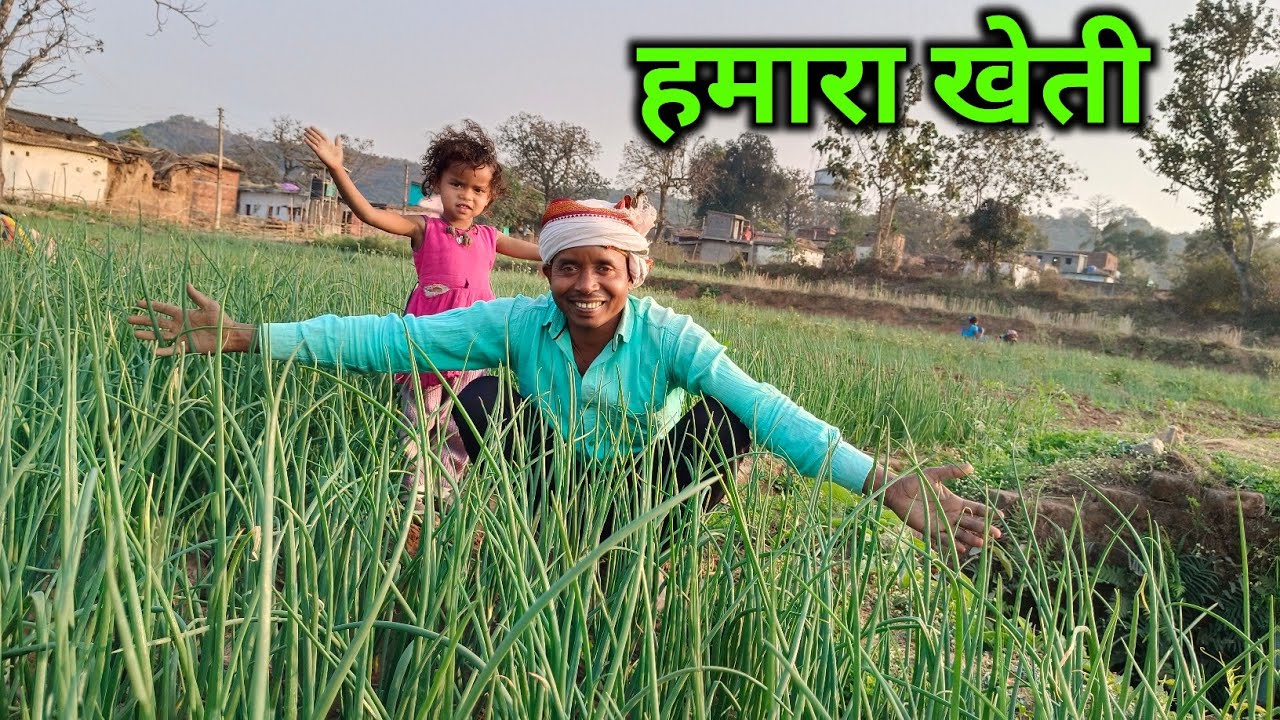 हमारा खेती || ramesh raj vlog || daily vlog 