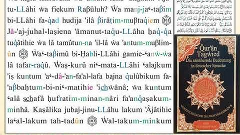 ختمة من مصحف التجويد باللغة الألمانية الصفحة رقم 63